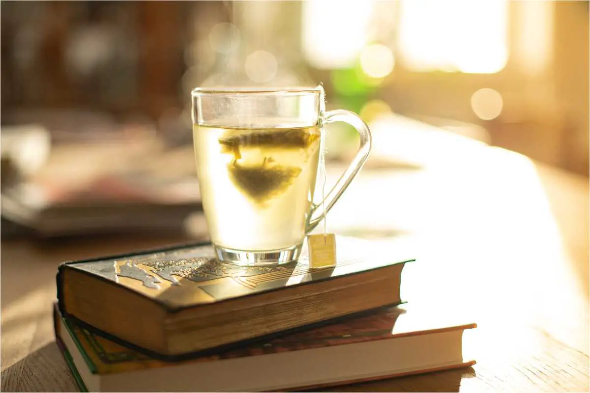 a way to stay warm during the winter months and flu season - hot tea and a good book! 