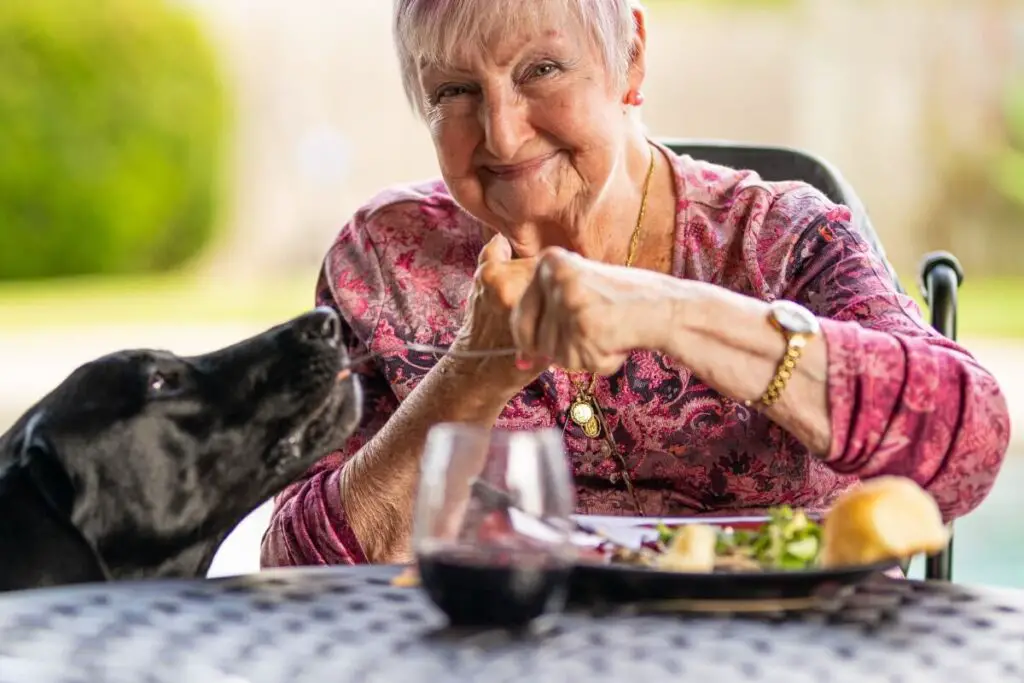 a smiling older woman sitting down to eat a meal delivery with her pets at her side (if only they also offered pet food!)