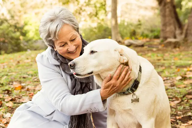 long-term care and pets