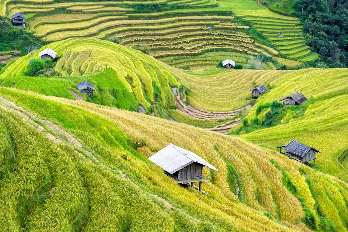 vietnam countryside