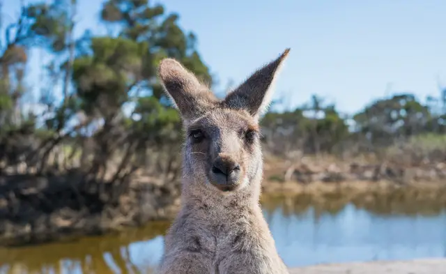 australia vacation