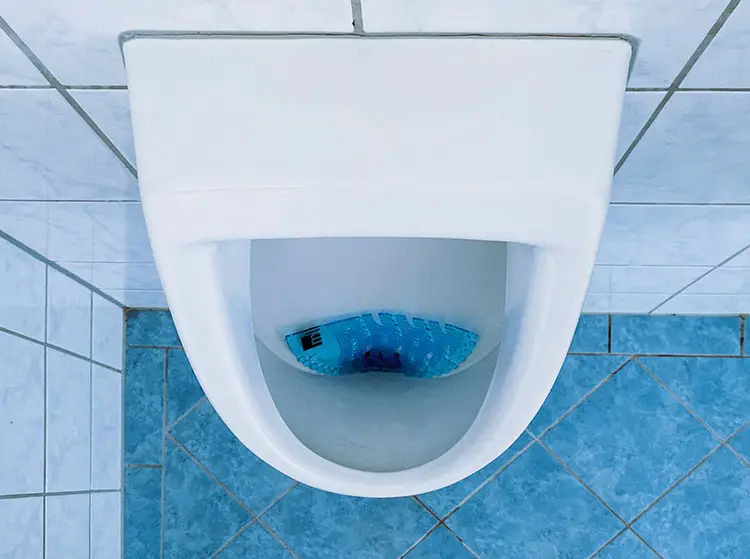 wall mounted urinal