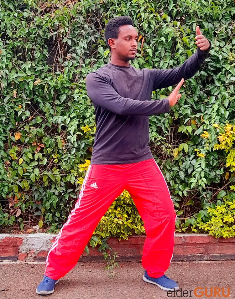 tai chi bow stance left