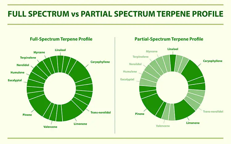 full spectrum vs partial