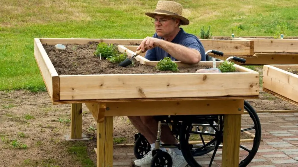 gardening for seniors feature image