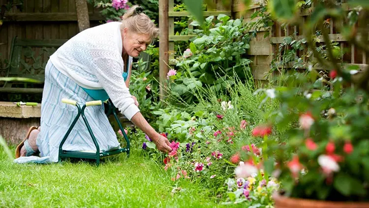 elder woman gardening on kneeler