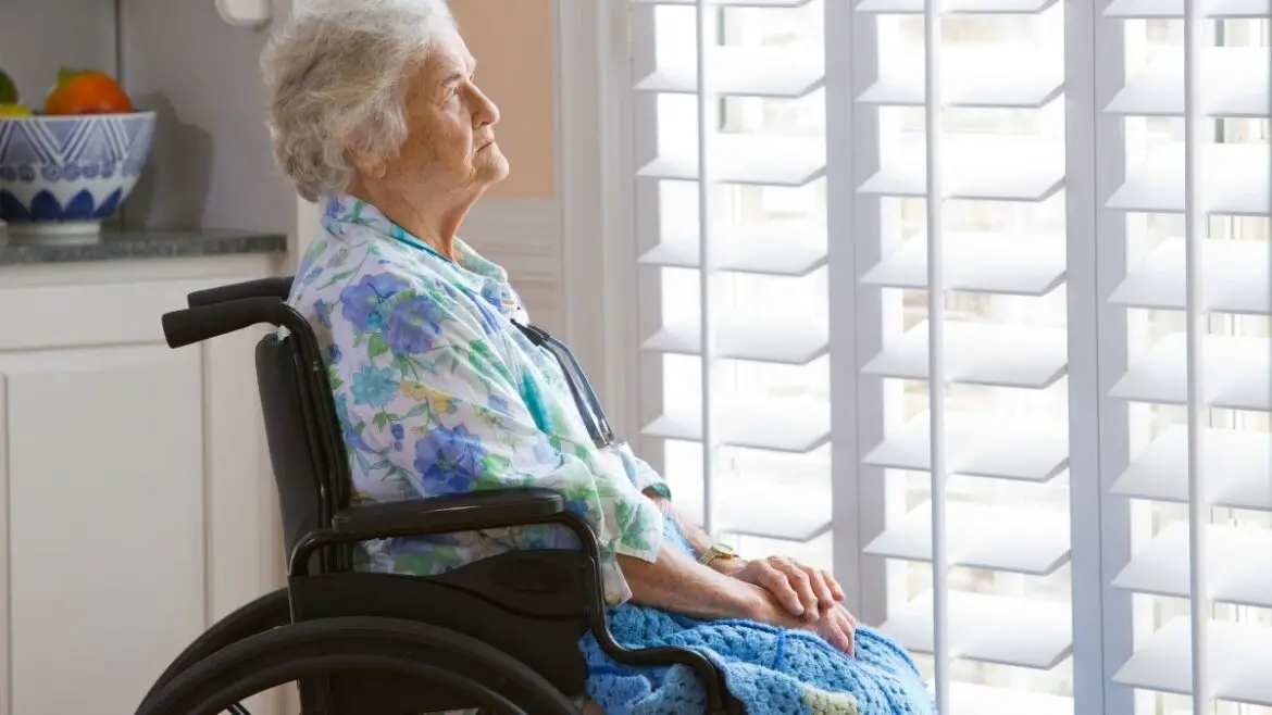 8 Best Wheelchair Accessories