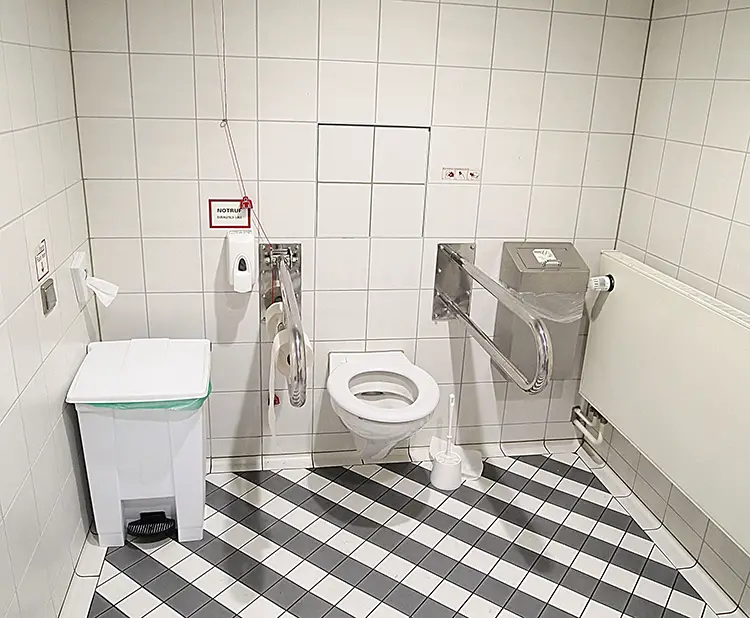 Bathroom with toilet supports