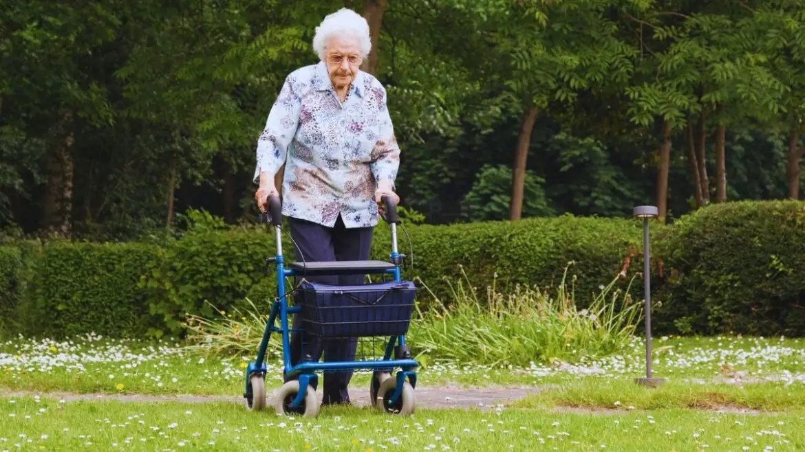 9 Walker Baskets and Bags for Seniors
