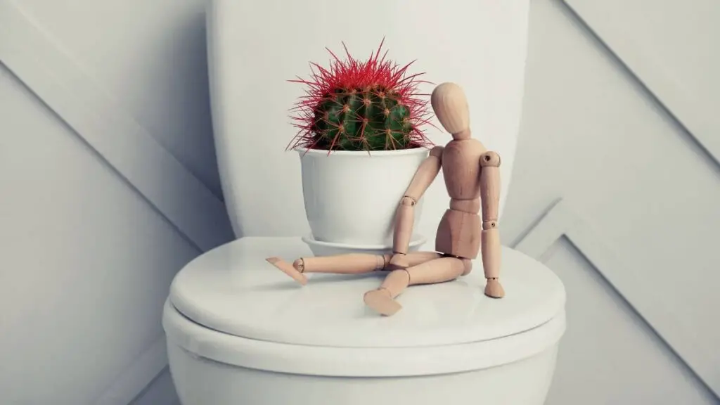 cactus and wooden doll in restroom