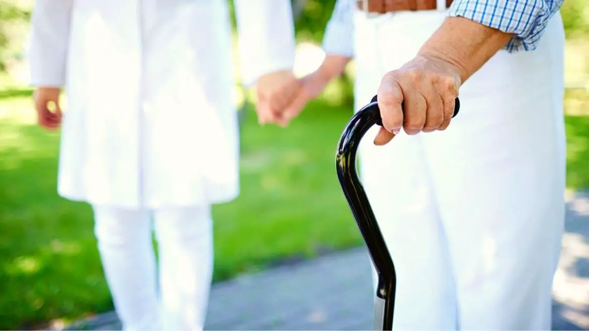 7 Best 4Prong Canes A Buyer’s Guide