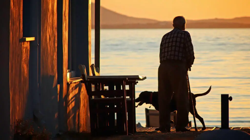 old man with a dog