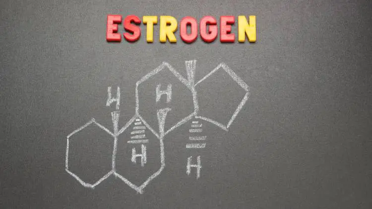 Estrogen on chart
