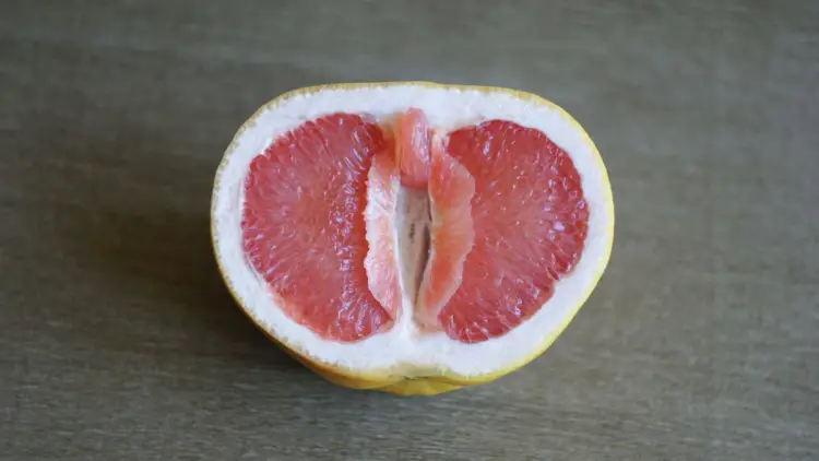 grapefruit looking like vulva