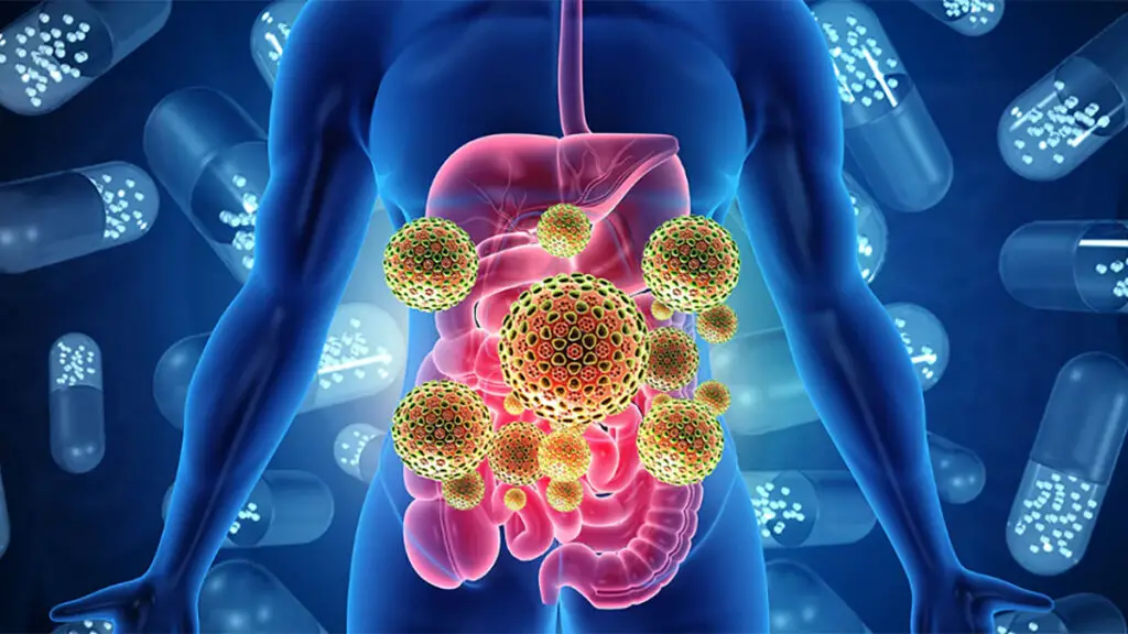 probiotic supplement gut health feature