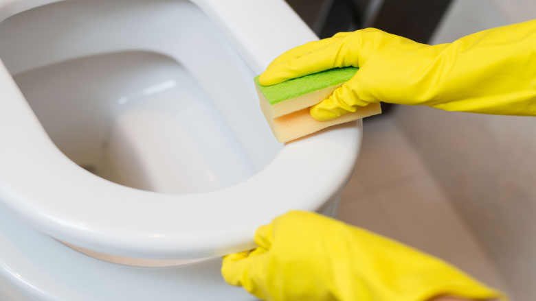 cleaning toilet seat